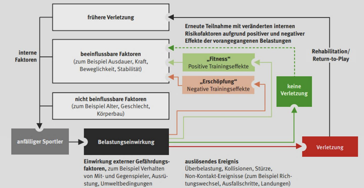 Flussdiagramm zu Verletzungsrisiken im Sport, Trainingsbelastung und Rehabilitation.